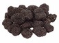 Black Summer Truffle Tree