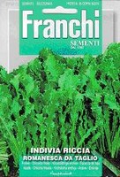 Franchi: Endive Romanesco