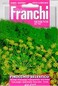 Franchi: Wild Fennel