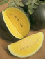 Franchi: Yellow Watermelon Janosik