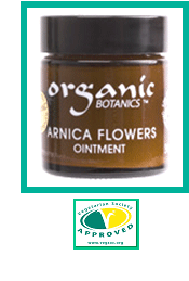 Arnica Flowers Ointment