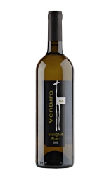 Sauvignon Blanc, Ventura, 2006