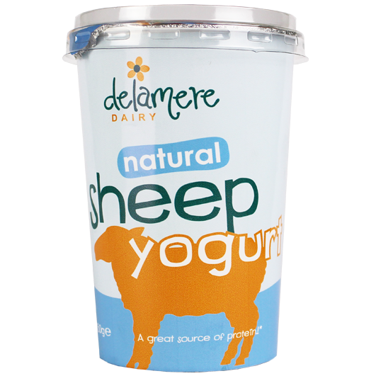 Delamere Dairy Sheep yogurt