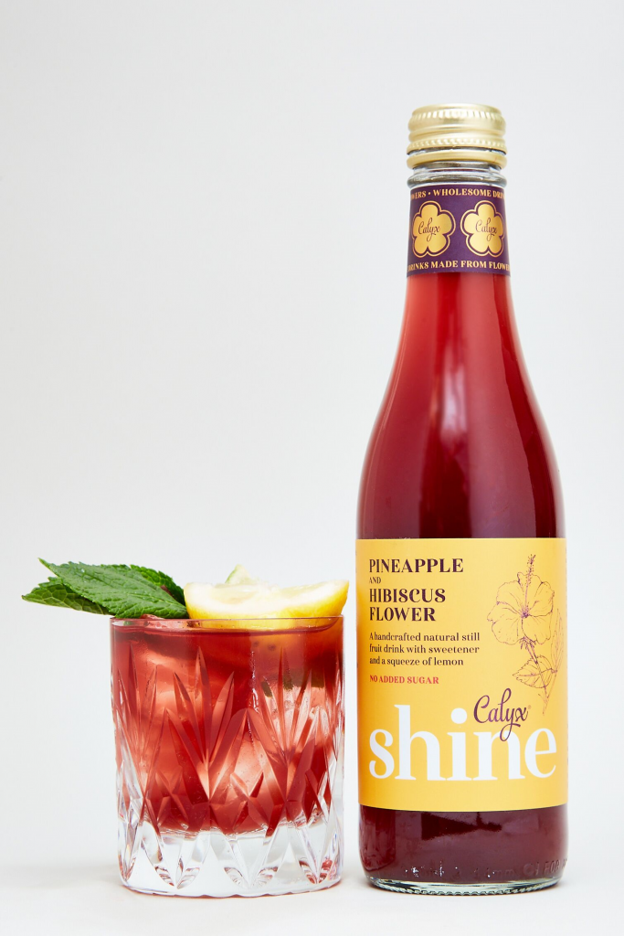 Shine – Pineapple and Hibiscus Flower