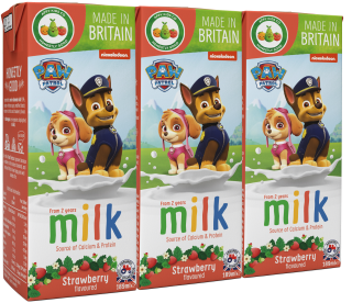 Paw Patrol Strawberry Flavoured Milk (200ml)