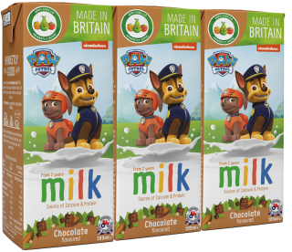 Paw Patrol Chocolate Flavoured Milk (200ml)