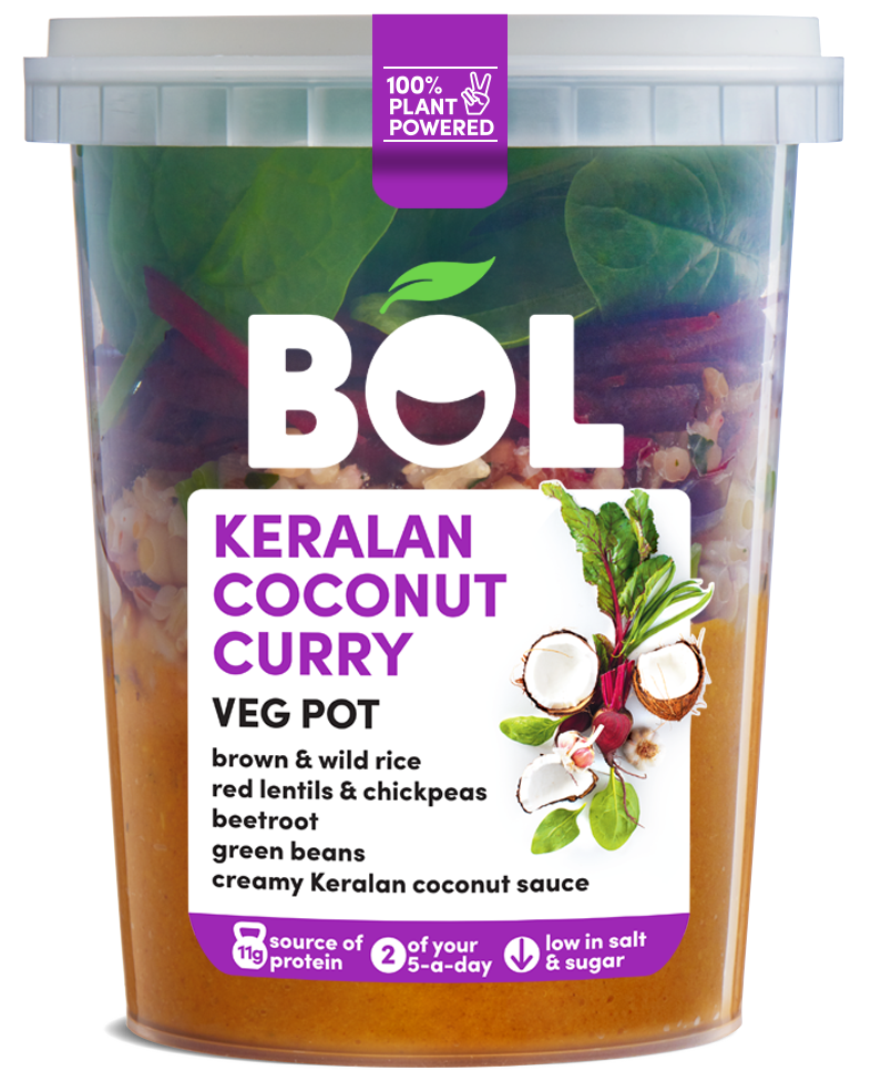 BOL Keralan Coconut Curry Veg Pot