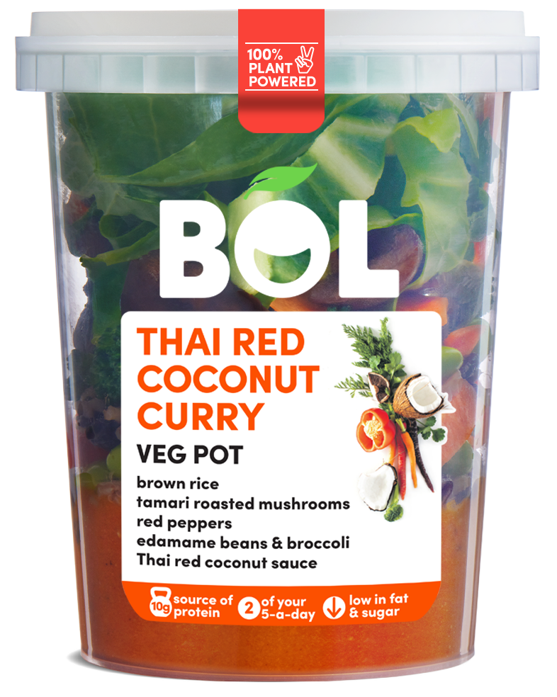 BOL Thai Red Coconut Curry Veg Pot