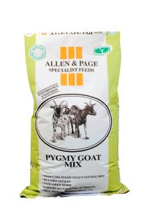 Smallholder Range – Pygmy Goat Mix