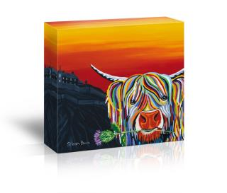 Steven Brown Art- Auld Scottie McCoo All Butter Stem Ginger Cookies 6 x 150g